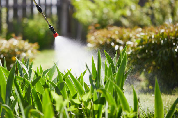 24/7 Emergency Mosquito Control experts in Dawson, TX