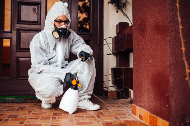 Reliable Mosquito Control contractor in Dawson, TX by Show Me Pest Control